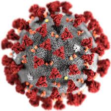 Yeni Koronavirüs (COVID-19) 